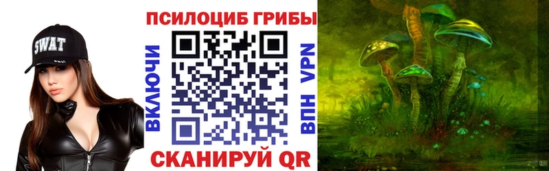 гидра зеркало  Власиха  Псилоцибиновые грибы мухоморы  цены наркотик 